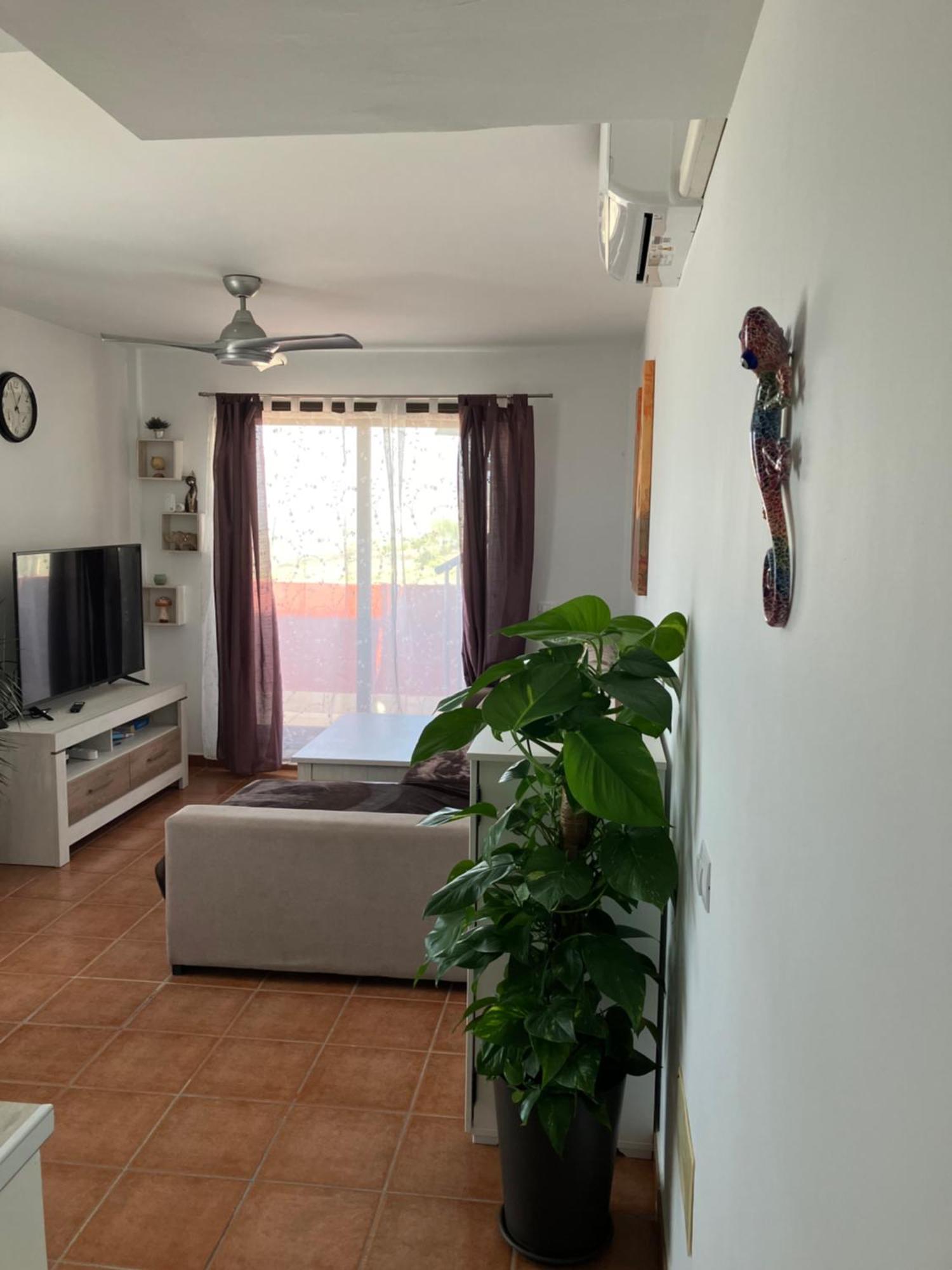 Narancsvirag Apartment Tejina de Isora Exterior foto